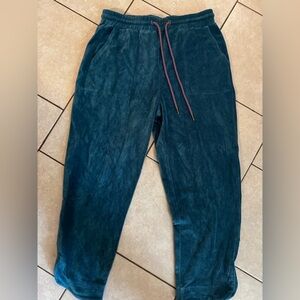 Teal Velour Jogger Pants